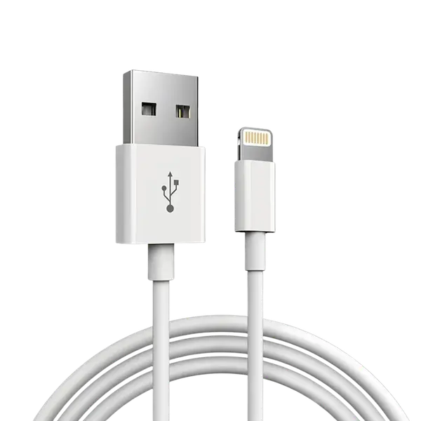 Lightning Cable Assorted