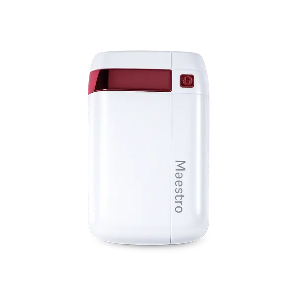 Maestro Power Bank